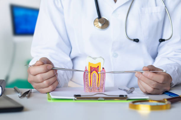 Best Emergency Tooth Extraction in New Whiteland, IN